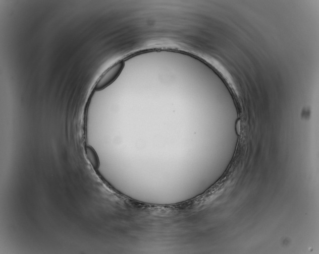 X0000099550815200806061515