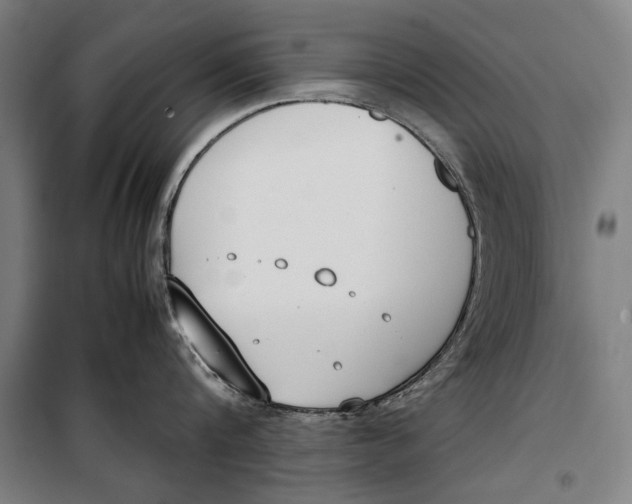 X0000099550816200806061515