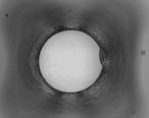 X0000099550817200806061514