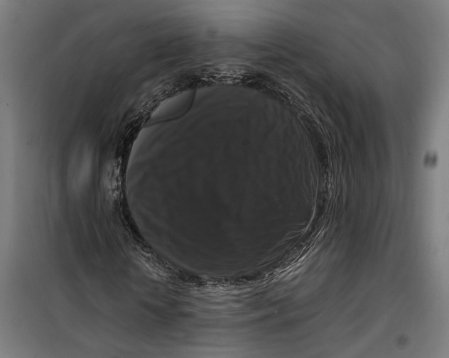 X0000099550818200806061514