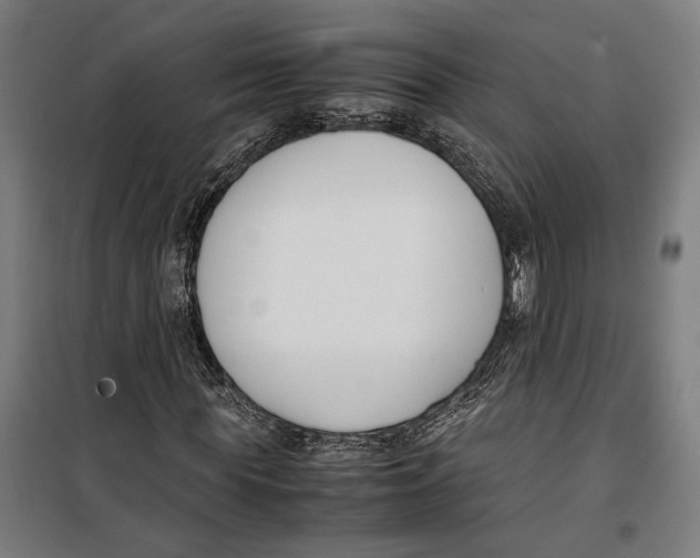 X0000099550819200806061514