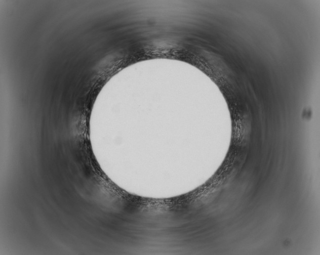 X0000099550820200806061514