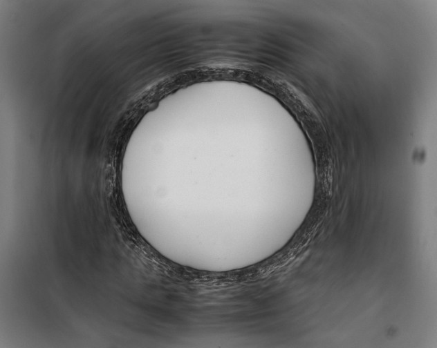 X0000099550821200806061514