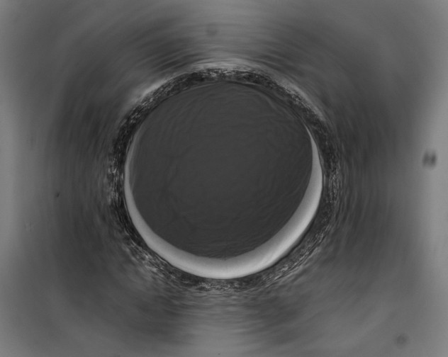 X0000099550822200806061514