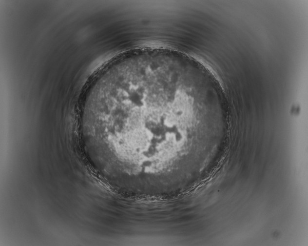 X0000099550823200806061514