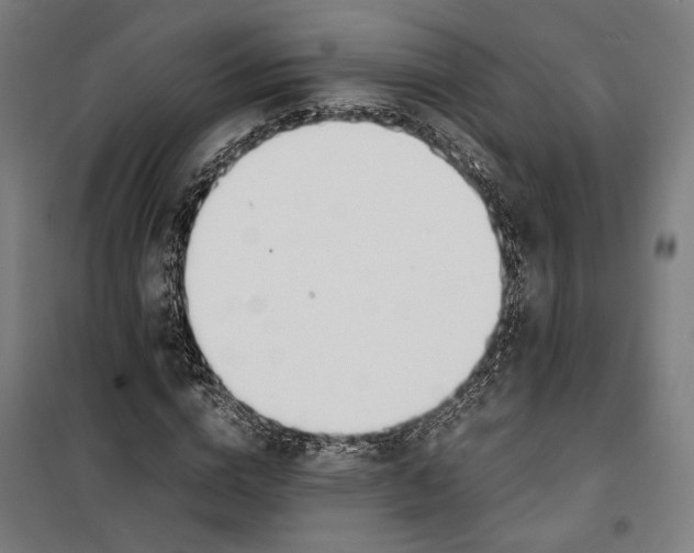 X0000099550824200806061514