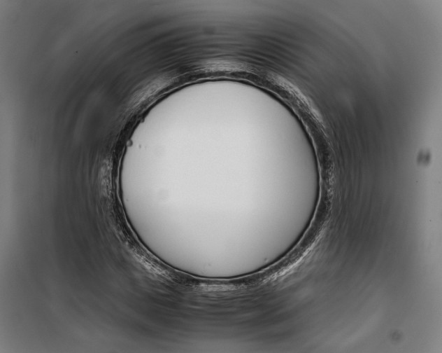 X0000099550825200806061514