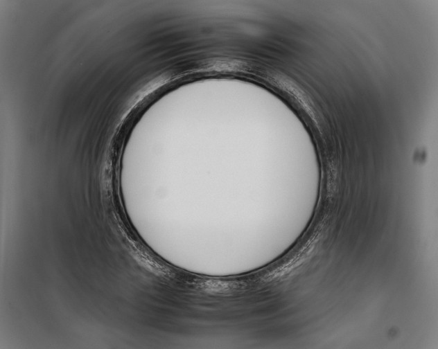 X0000099550827200806061514