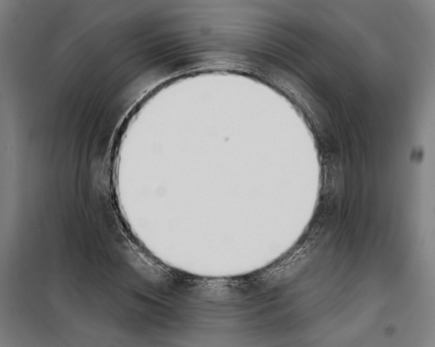 X0000099550828200806061514