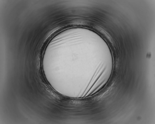 X0000099550829200806061514