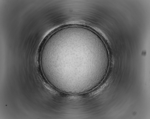 X0000099550830200806061514