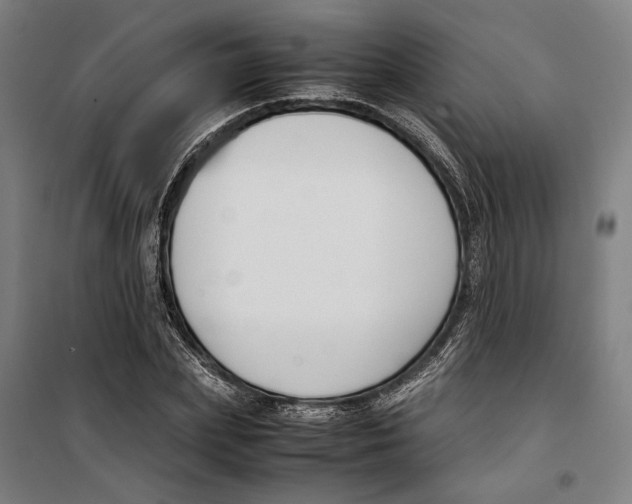 X0000099550831200806061515