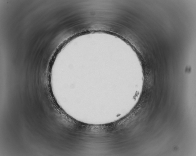 X0000099550832200806061515