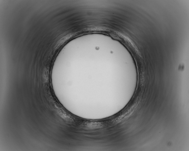 X0000099550833200806061515