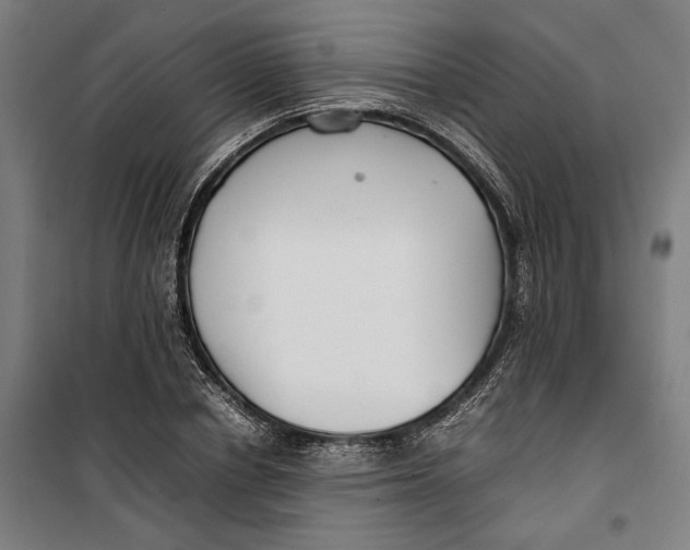 X0000099550834200806061515