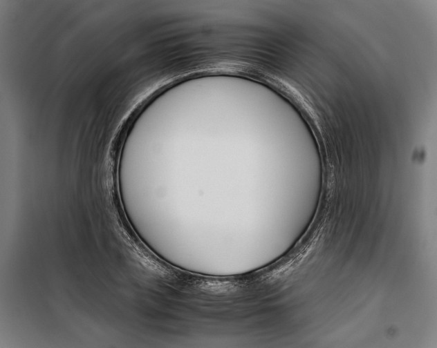 X0000099550835200806061515