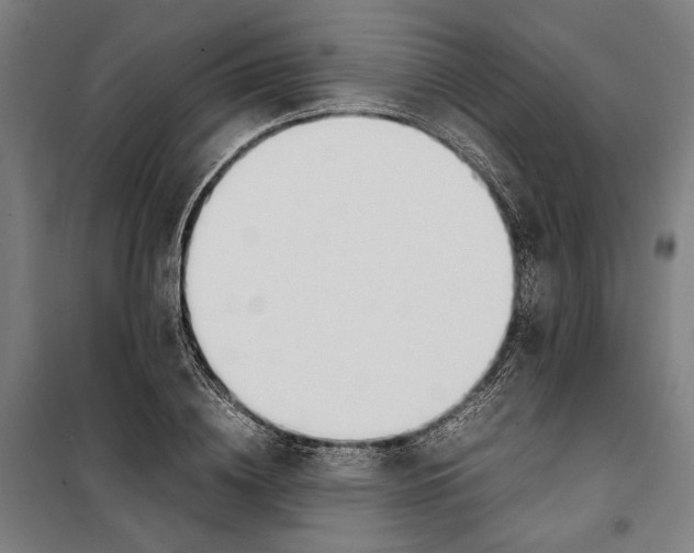 X0000099550836200806061515