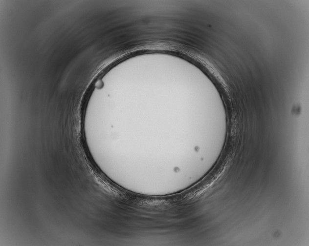 X0000099550837200806061515