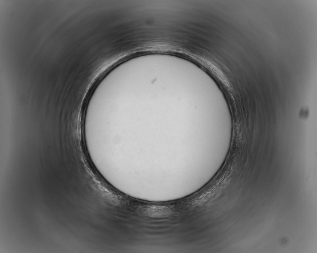 X0000099550839200806061515