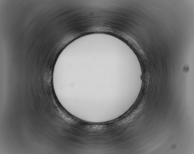 X0000099550841200806061515