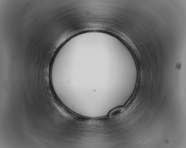 X0000099550842200806061515