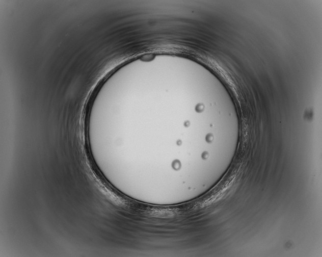 X0000099550843200806061515