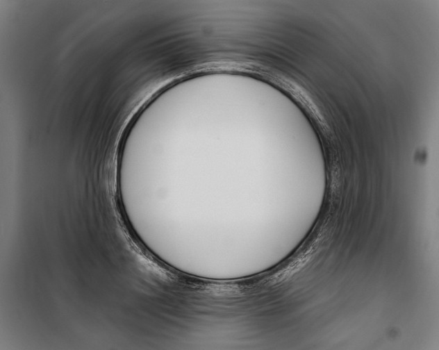 X0000099550844200806061515