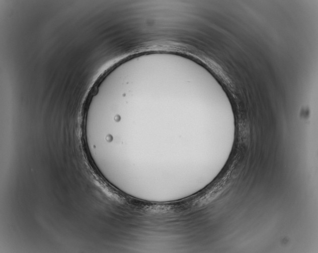 X0000099550846200806061515