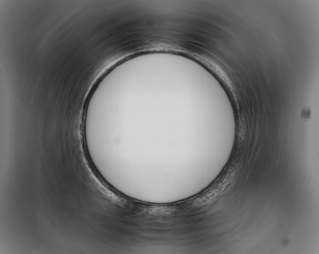 X0000099550847200806061515