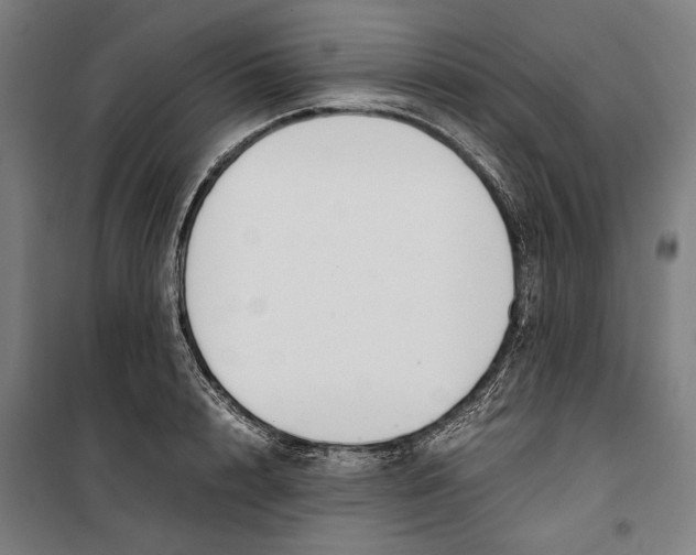 X0000099550848200806061515