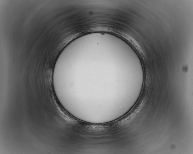 X0000099550849200806061515