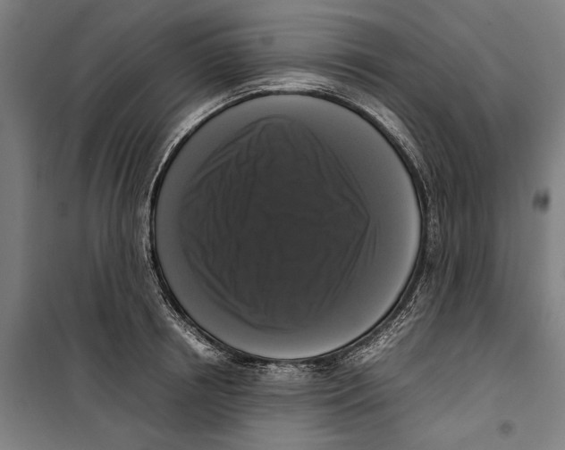 X0000099550850200806061515