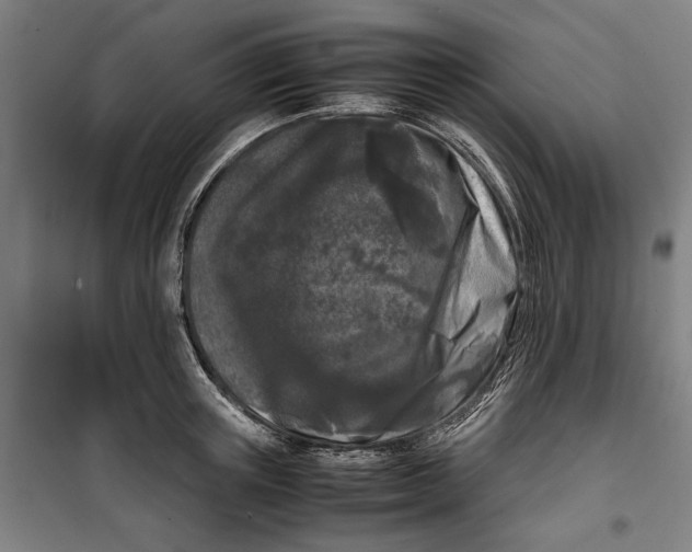 X0000099550851200806061515