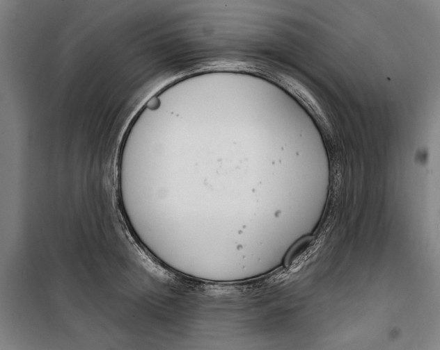 X0000099550852200806061515