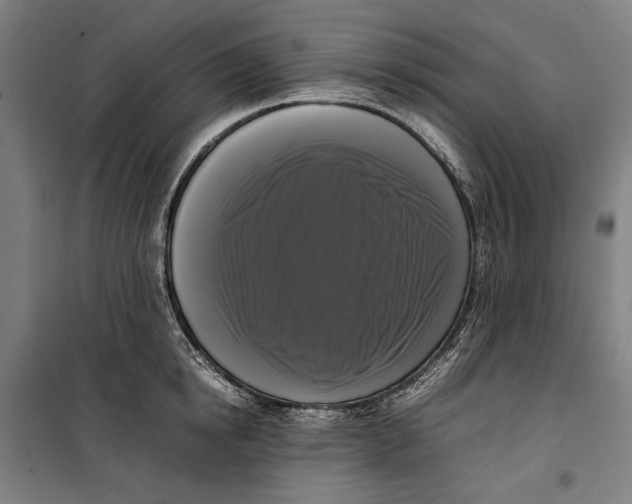 X0000099550854200806061515