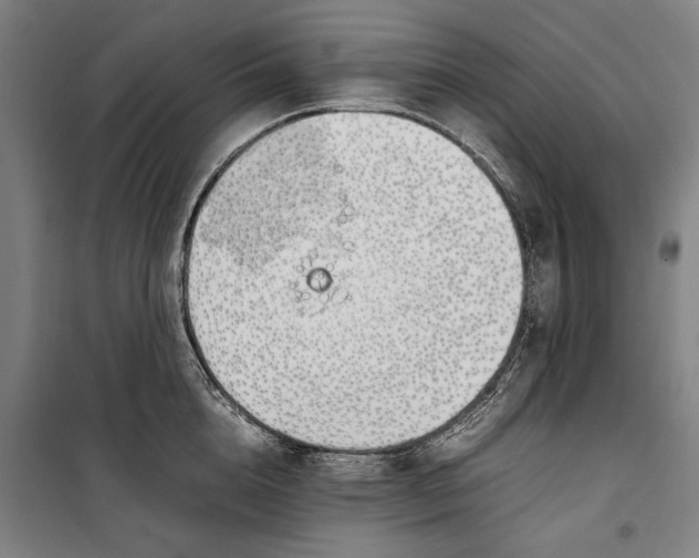 X0000099550856200806061515