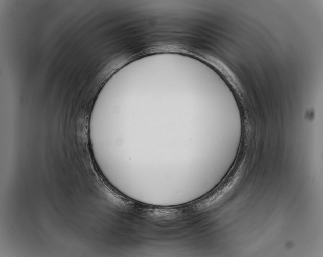 X0000099550857200806061515