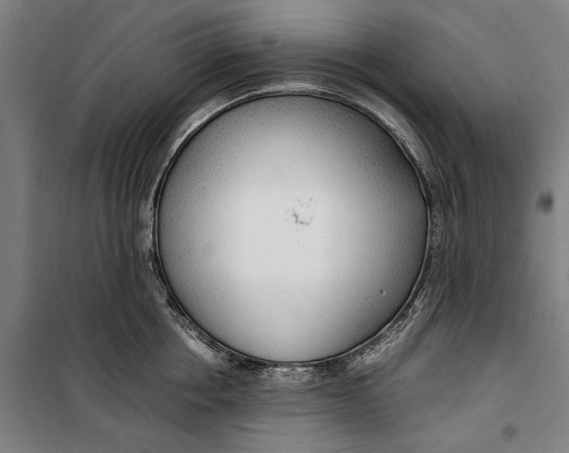 X0000099550858200806061515