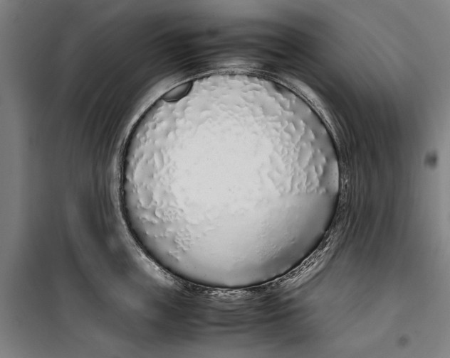 X0000099550859200806061515