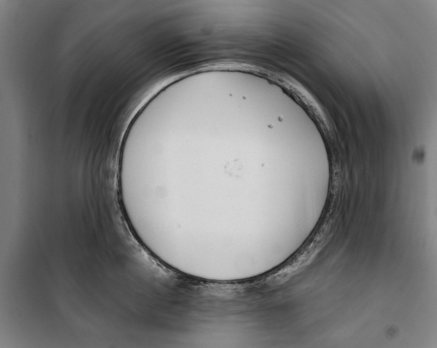 X0000099550860200806061515