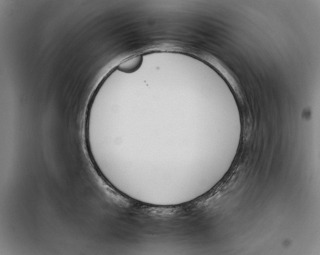 X0000099550861200806061515