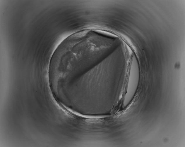 X0000099550863200806061515