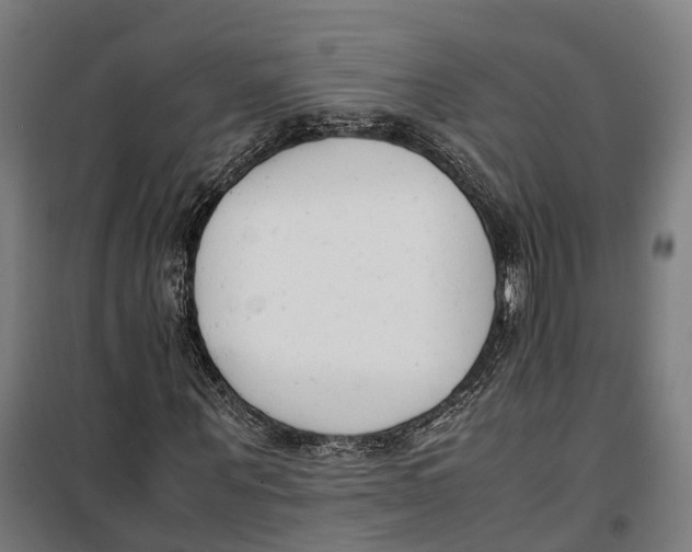 X0000099550867200806061514