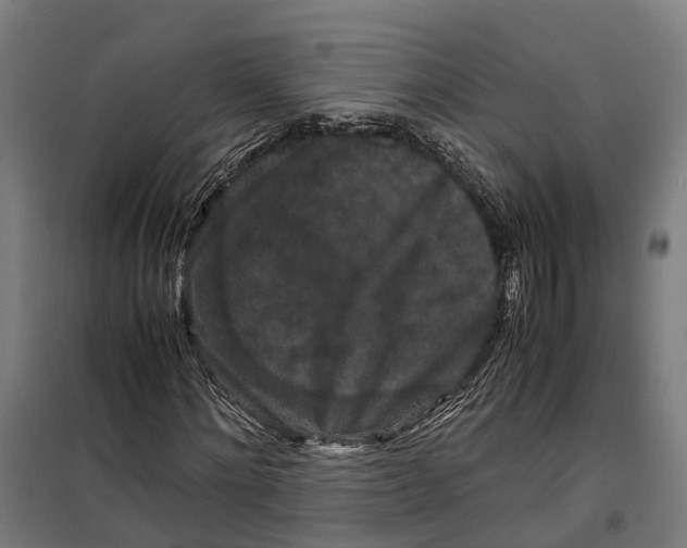 X0000099550868200806061514