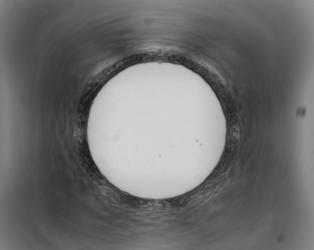 X0000099550869200806061514