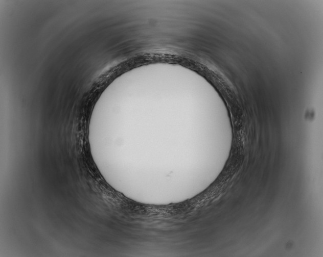 X0000099550870200806061514