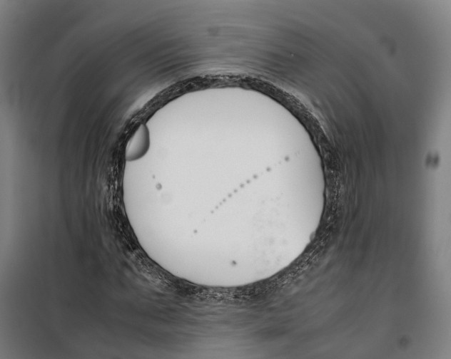 X0000099550871200806061514