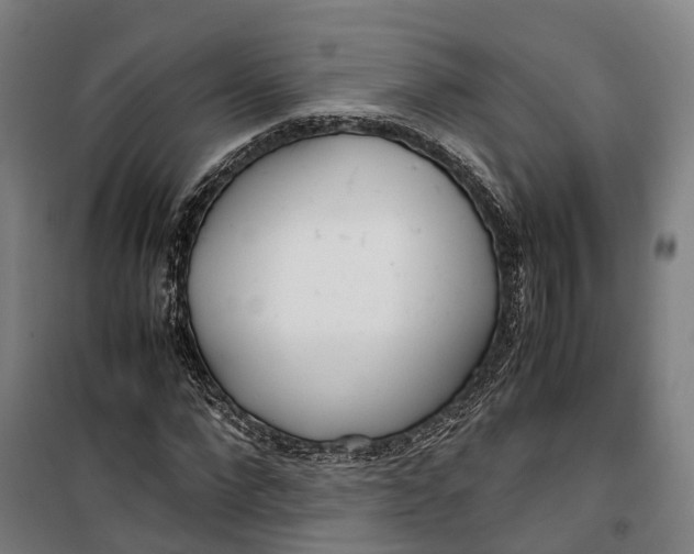 X0000099550872200806061514