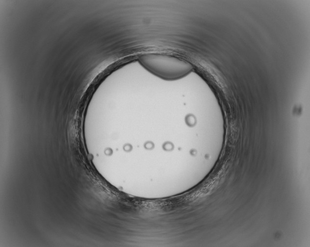 X0000099550875200806061514