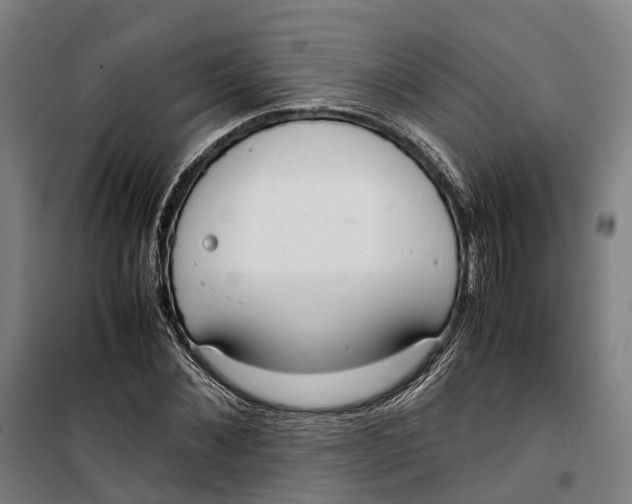 X0000099550876200806061514